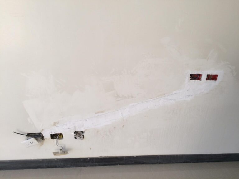 197225835_849861272285775_3495987349657407145_n